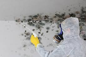 Best Mold Remediation for Healthcare Facilities  in Mondovi, WI